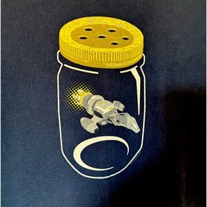 From Josh Weeden’s TV show firefly T-shirt🔥🪰🚀